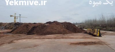 فروش خاک باغچه مرغوب خاک گیاخاک در رشت در گروه انواع محصولات خاک و تغذیه در یکمیوه -عکس1