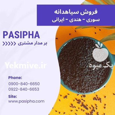 فروش سیاه دانه هندی فروش روغن در ری  در گروه خرید و فروش انواع روغن در یکمیوه -عکس1