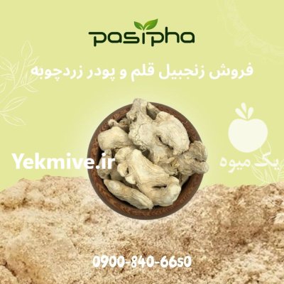 فروش چوب زنجبیل فروش پودر زنجبیل در تهران در گروه خرید و فروش ادویه در یکمیوه -عکس1