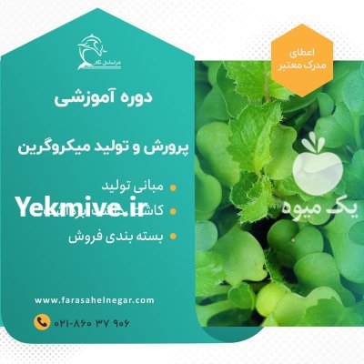 آموزش رشد برداشت میکرو گرین در تهران در گروه دوره آموزش کشاورزی در یکمیوه -عکس2
