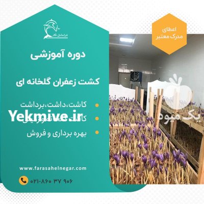 بسته آموزشی آفلاین پرورش زعفران گلخانه در گروه دوره آموزش کشاورزی در یکمیوه -عکس1