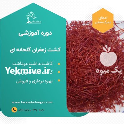 بسته آموزشی آفلاین پرورش زعفران گلخانه در گروه دوره آموزش کشاورزی در یکمیوه -عکس2