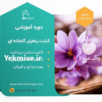 بسته آموزشی آفلاین پرورش زعفران گلخانه در گروه دوره آموزش کشاورزی در یکمیوه -عکس3