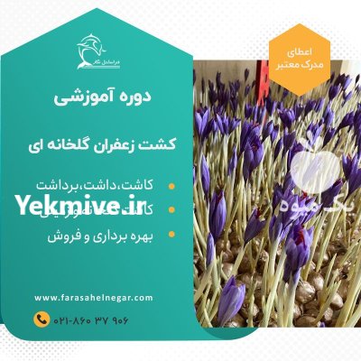 بسته آموزشی آفلاین پرورش زعفران گلخانه در گروه دوره آموزش کشاورزی در یکمیوه -عکس4