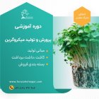 آموزش رشد برداشت میکرو گرین در تهران