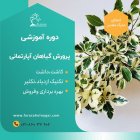 دوره آموزشی پرورش گیاهان آپارتمانی در تجریش