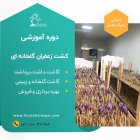 بسته آموزشی آفلاین پرورش زعفران گلخانه