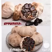 فروش سیر سیاه در کرج در گروه خرید و فروش سیر در یکمیوه