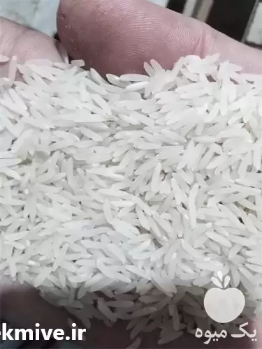 قیمت خرید برنج فجر سوزنی ممتاز در گرگان در گروه خرید و فروش برنج در یکمیوه -عکس1