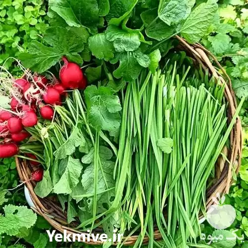 قیمت خرید سبزی پاک شده در تهران در گروه خرید و فروش سبزی های برگی در یکمیوه -عکس1