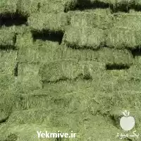 قیمت خرید قیمت روز یونجه در شیراز در گروه خوراک دام و طیور در یکمیوه