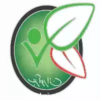 قیمت خرید سبزی خرد شده در تهران در گروه خرید و فروش سبزی های برگی در یکمیوه