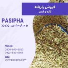 فروش رازیانه روغن رازیانه پایه دار در گروه خرید و فروش ادویه در یکمیوه