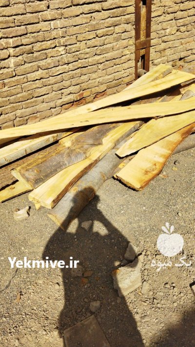 500 کیلو چوب راش برش خورده در گروه خرید و فروش انواع چوب در یکمیوه -عکس2