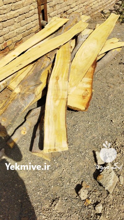 500 کیلو چوب راش برش خورده در گروه خرید و فروش انواع چوب در یکمیوه -عکس3