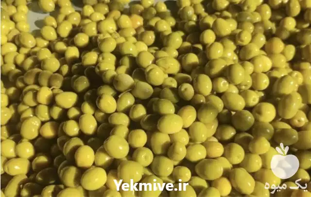 قیمت خرید زیتون در رشت در گروه خرید و فروش زیتون در یکمیوه -عکس1