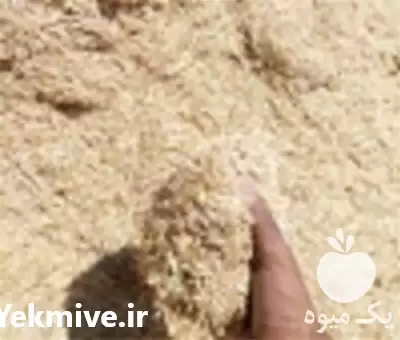 قیمت خرید کاه گندم دیمی در گروه خوراک دام و طیور در یکمیوه -عکس1
