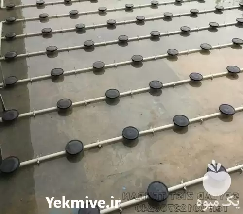 فروش دیفیوزر هوادهی حباب ریز در تهران در گروه خرید و فروش انواع ماهی در یکمیوه -عکس1