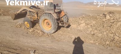 فروش کود مرغی گوشتی سالنی خشک در گروه خرید و فروش کود مرغی در یکمیوه -عکس3