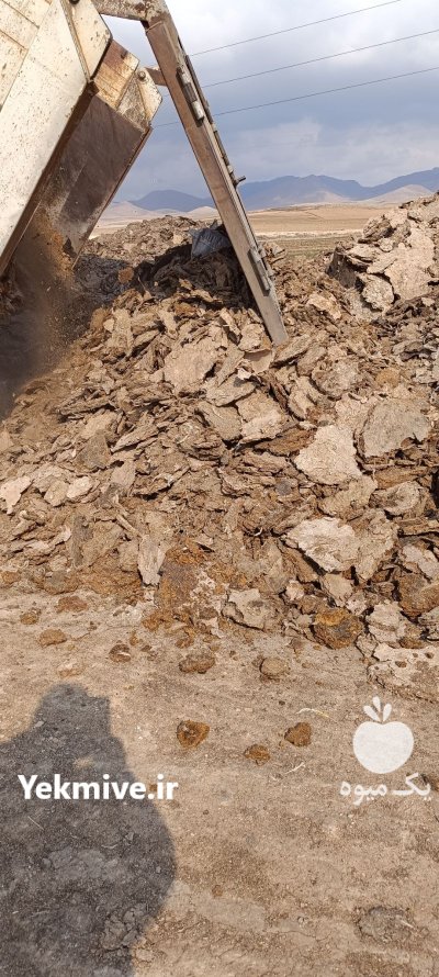 فروش کود مرغی گوشتی سالنی خشک در گروه خرید و فروش کود مرغی در یکمیوه -عکس4