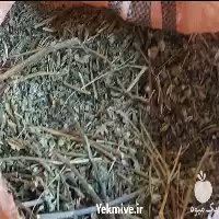 فروش بوته خشک گل گاوزبان در شیراز در گروه خرید و فروش گیاهان دارویی در یکمیوه