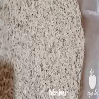 فروش برنج ایرانی در گروه خرید و فروش برنج در یکمیوه