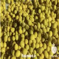 قیمت خرید زیتون در رشت در گروه خرید و فروش زیتون در یکمیوه