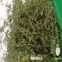 قیمت خرید یونجه سبز خشک بسته در اهواز در گروه خوراک دام و طیور در یکمیوه