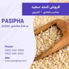 فروش کنجد سفید فروش کنجد قهوه در ری  در گروه خرید و فروش دانه های روغنی در یکمیوه