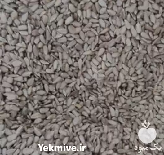 فروش مغز تخمه خام در کرمانشاه در گروه خرید و فروش انواع تخمه در یکمیوه -عکس1