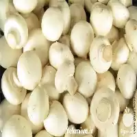  آموزش پرورش قارچ برای فرصت های بین المللی