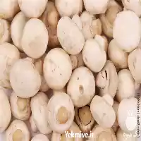  دوره آموزشی پرورش قارچ دکمه ای نیمه صنعتی