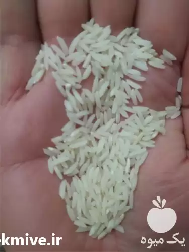 قیمت خرید برنج طارم محلی معطر در تهران در گروه خرید و فروش برنج در یکمیوه -عکس1