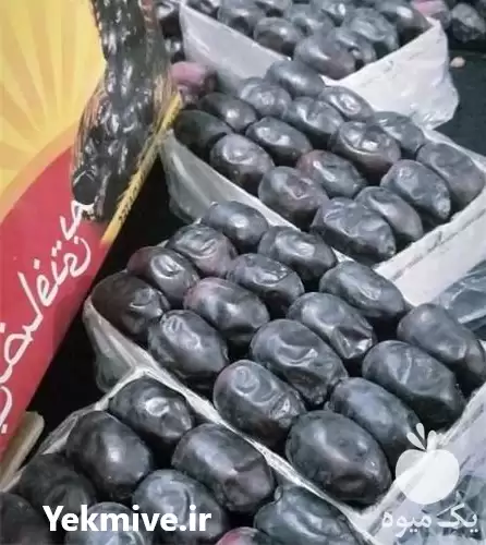 قیمت خرید انواع خرما در گروه خرید و فروش خرما در یکمیوه -عکس1