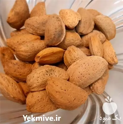 فروش بادام مامایی در تهران در گروه خرید و فروش بادام در یکمیوه -عکس1
