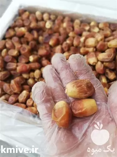 عرضه بنکداری خرمای الوند در تهران در گروه خرید و فروش خرما در یکمیوه -عکس1