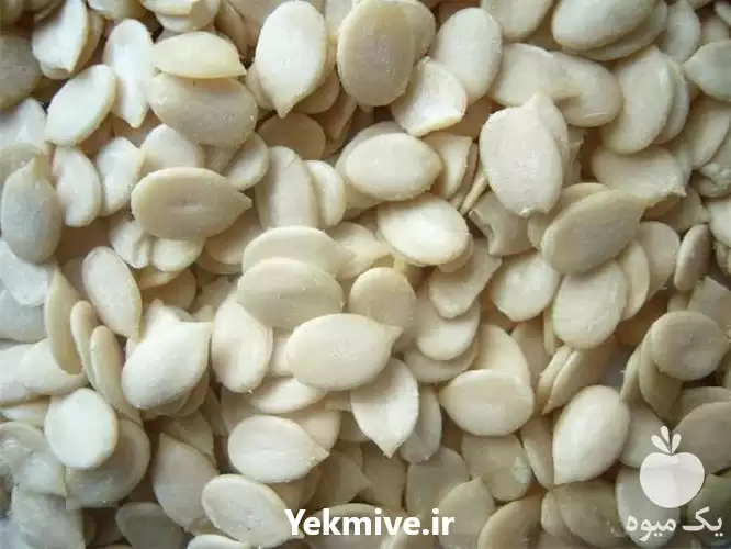 قیمت خرید مغز تخمه هندوانه در گرگان در گروه خرید و فروش انواع تخمه در یکمیوه -عکس1