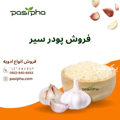 فروش پودر سیر عمده خرده فروش در ری  در گروه خرید و فروش ادویه در یکمیوه -عکس1