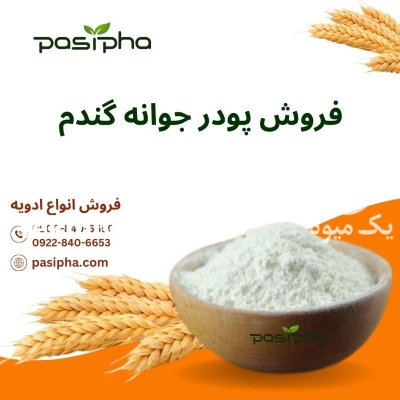 فروش پودر جوانه گندم فروش روغن در ری  در گروه خرید و فروش ادویه در یکمیوه -عکس1