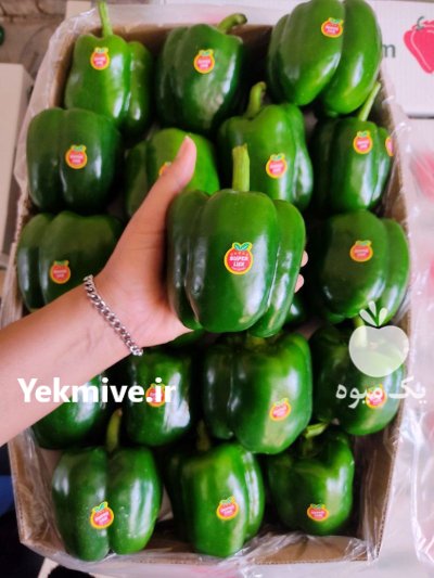 قیمت فلفل دلمه سبز گلخانه ای در یزد در گروه خرید و فروش فلفل در یکمیوه -عکس1
