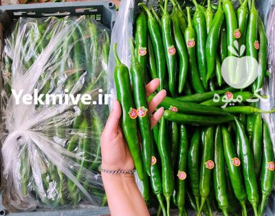 فروش فلفل شمشیری گلخانه ای در یزد در گروه خرید و فروش فلفل در یکمیوه -عکس1