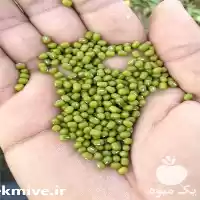 قیمت خرید انواع حبوبات عمده در گروه خرید و فروش غلات و حبوبات در یکمیوه