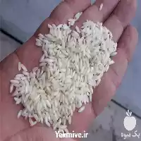 قیمت خرید برنج عنبربو در گروه خرید و فروش برنج در یکمیوه