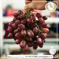 فروش انگور کریمسون سیدلس در گروه خرید و فروش انگور در یکمیوه