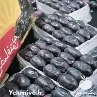 قیمت خرید انواع خرما در گروه خرید و فروش خرما در یکمیوه