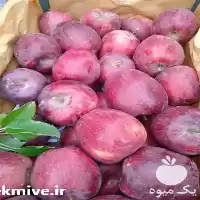 سیب سوپر سفید و قرمز در تهران در گروه خرید و فروش سیب در یکمیوه