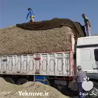 فروش کاه نیشکر باگاس تفاله نیشکر در اهواز در گروه خوراک دام و طیور در یکمیوه