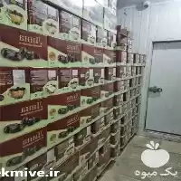 قیمت خرید بنکداری خرمای الوند در تهران در گروه خرید و فروش خرما در یکمیوه