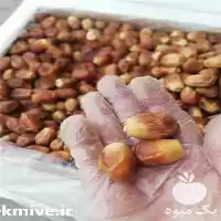 عرضه بنکداری خرمای الوند در تهران در گروه خرید و فروش خرما در یکمیوه