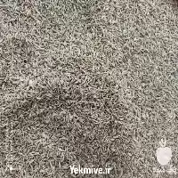 زیره سبز سورت کارخانه زیره سبز در مشهد در گروه خوراک دام و طیور در یکمیوه